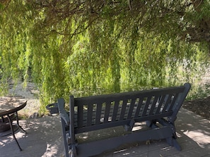 A wooden bench by a pond with weeping willow trees.