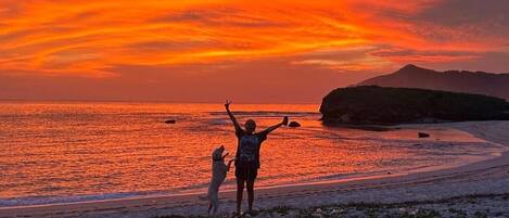Playa