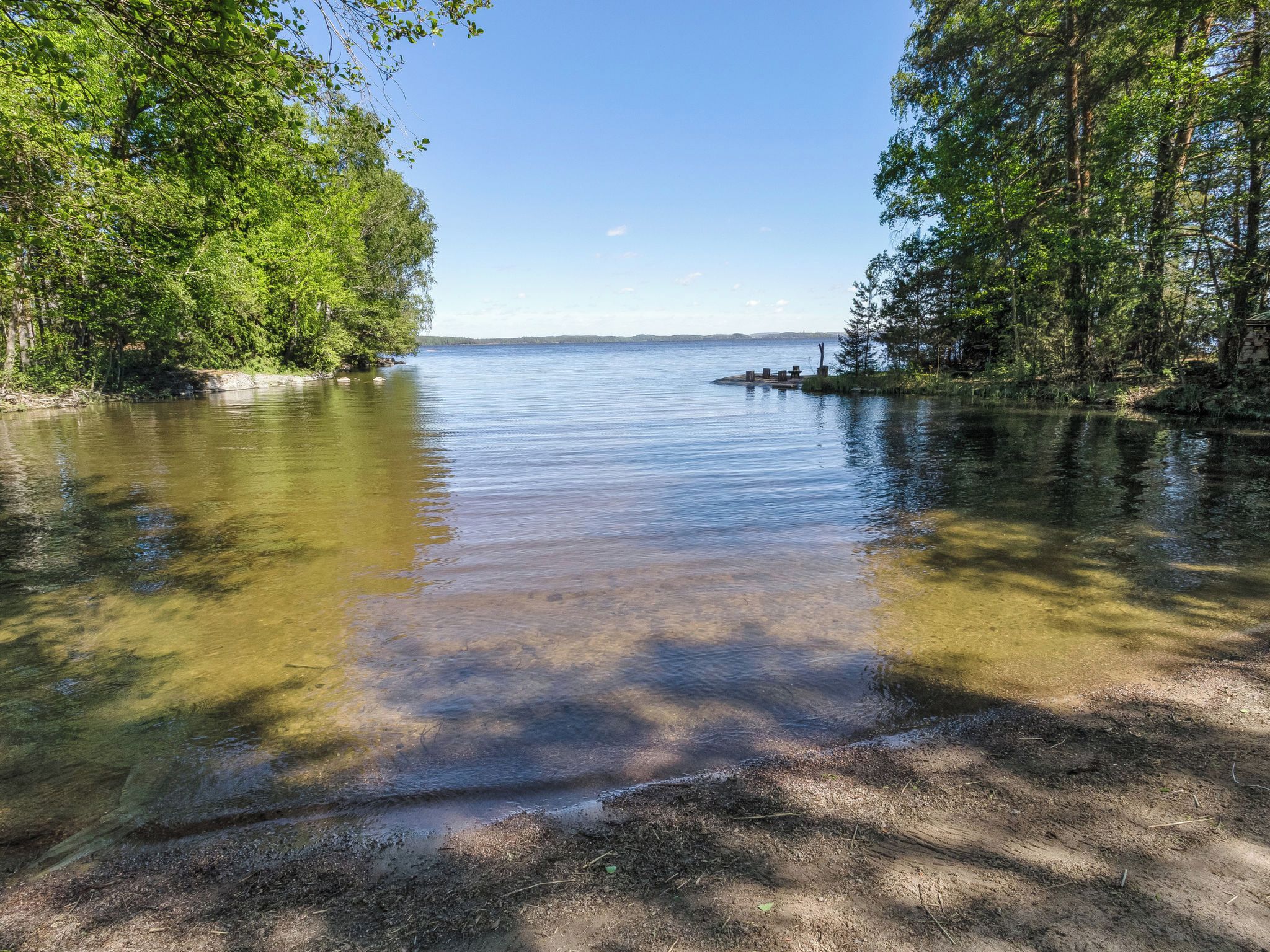 A serene lakeside scene with clear water, surrounded by dense trees and a distant shoreline.