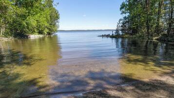A serene lakeside scene with clear water, surrounded by dense trees and a distant shoreline.