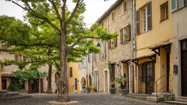 A cobblestone street with historic buildings, a large tree, and a small courtyard. - Domaine De Cocagne N°3 - Pool & Sea View, Cagnes sur Mer, France (Cagnes sur Mer)