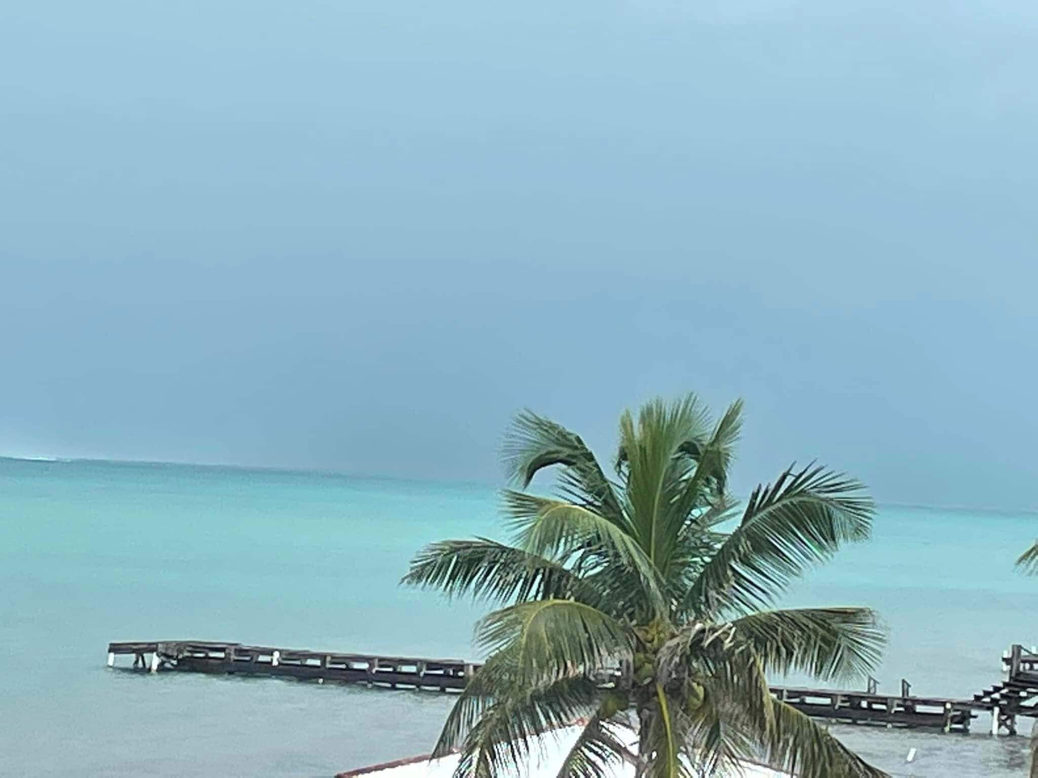 Blick auf einen Strand mit einer Palme und einem hölzernen Steg, der ins Wasser führt.