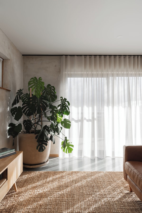 A living room with a large potted plant, a sofa, a wooden side table, and a large window with sheer curtains.