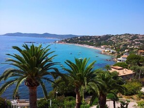 A coastal town with a beach, boats, and palm trees. - APPARTEMENT SAINT CLAIR (LE LAVANDOU)