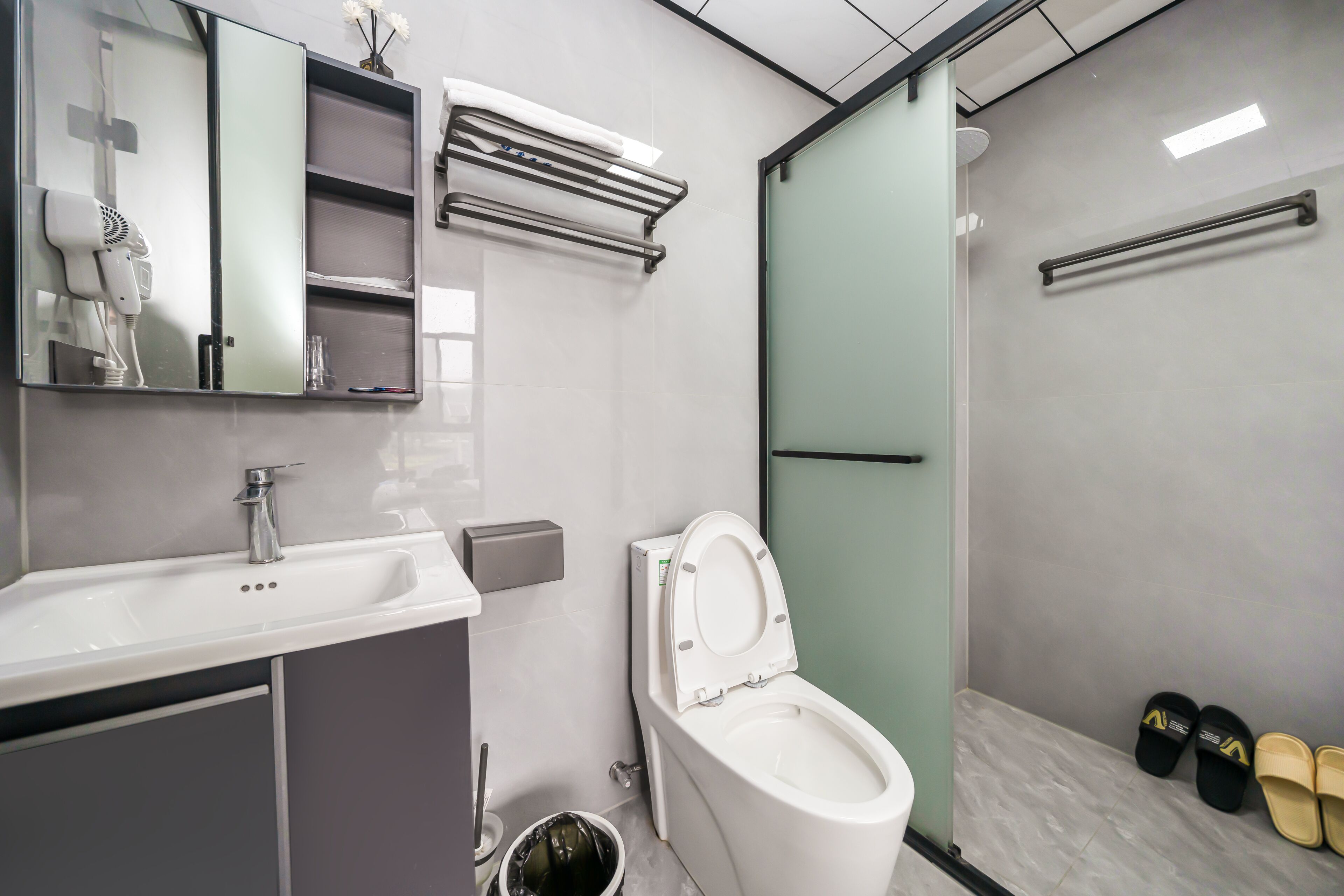 A modern bathroom with a white sink, a toilet, a shower, and a mirror.