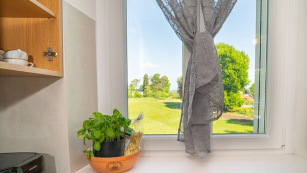 Ett fönster med en gardin, en krukväxt och en hylla med köksredskap.