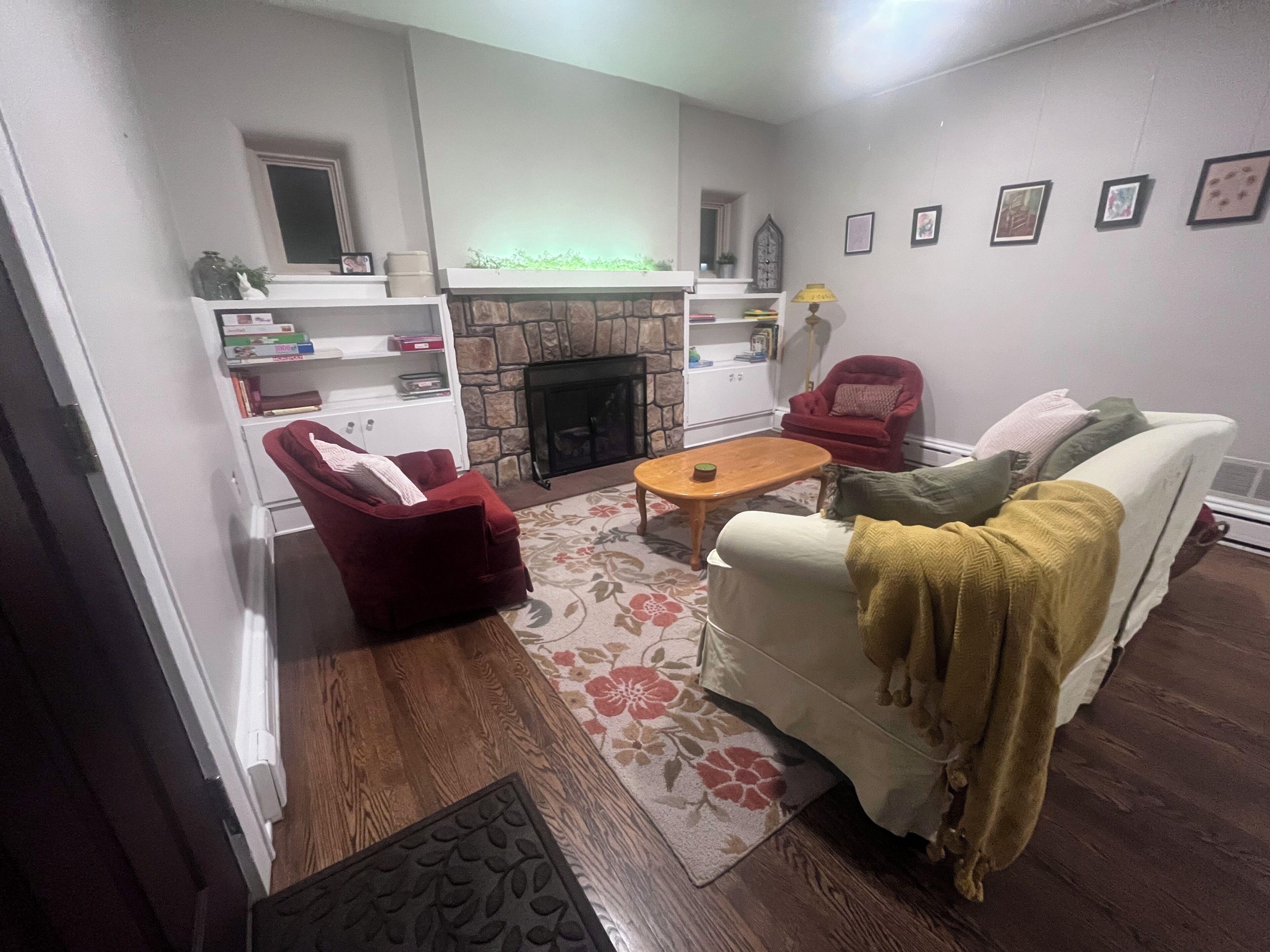Smart TV, fireplace, books