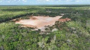 Une vue aérienne d’une zone boisée avec une clairière.