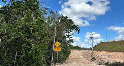 Camping and RVs Selva Maya
