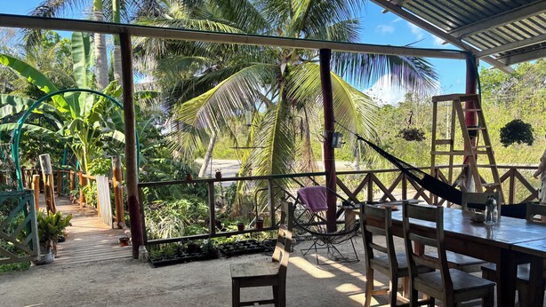 Outdoor dining - Camping and RVs Selva Maya (Reforma Agraria)