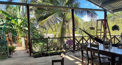Camping and RVs Selva Maya