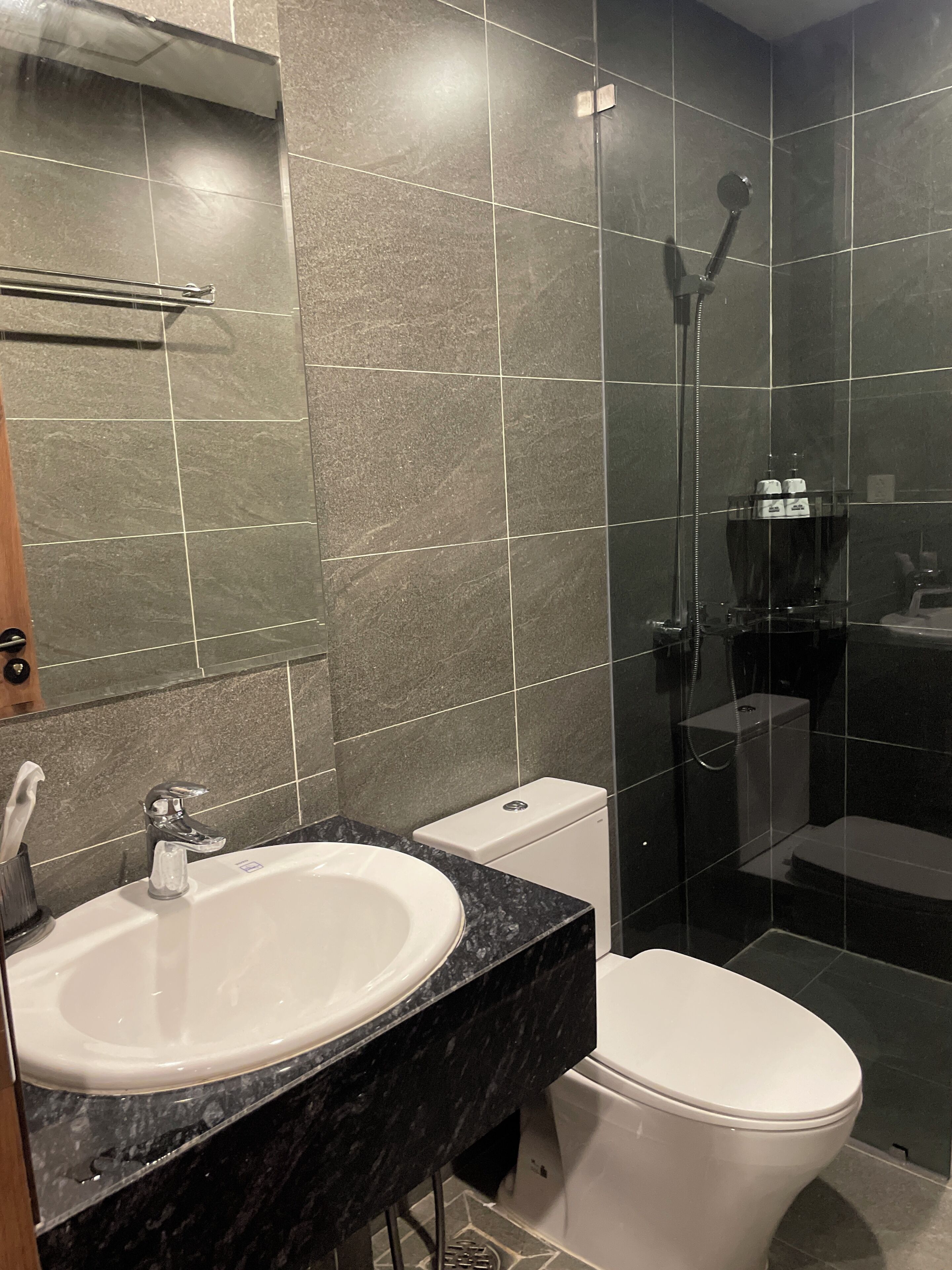 Une salle de bain avec un lavabo, des toilettes et une douche.