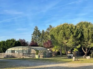 Ein Gewächshaus mit gewölbter Dachkonstruktion, umgeben von Bäumen und einem Holzzaun.