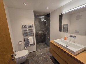 Et moderne badeværelse med toilet, bruser, vask og spejl.