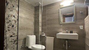 A modern bathroom with a glass shower enclosure, a toilet, a sink, and a mirror.