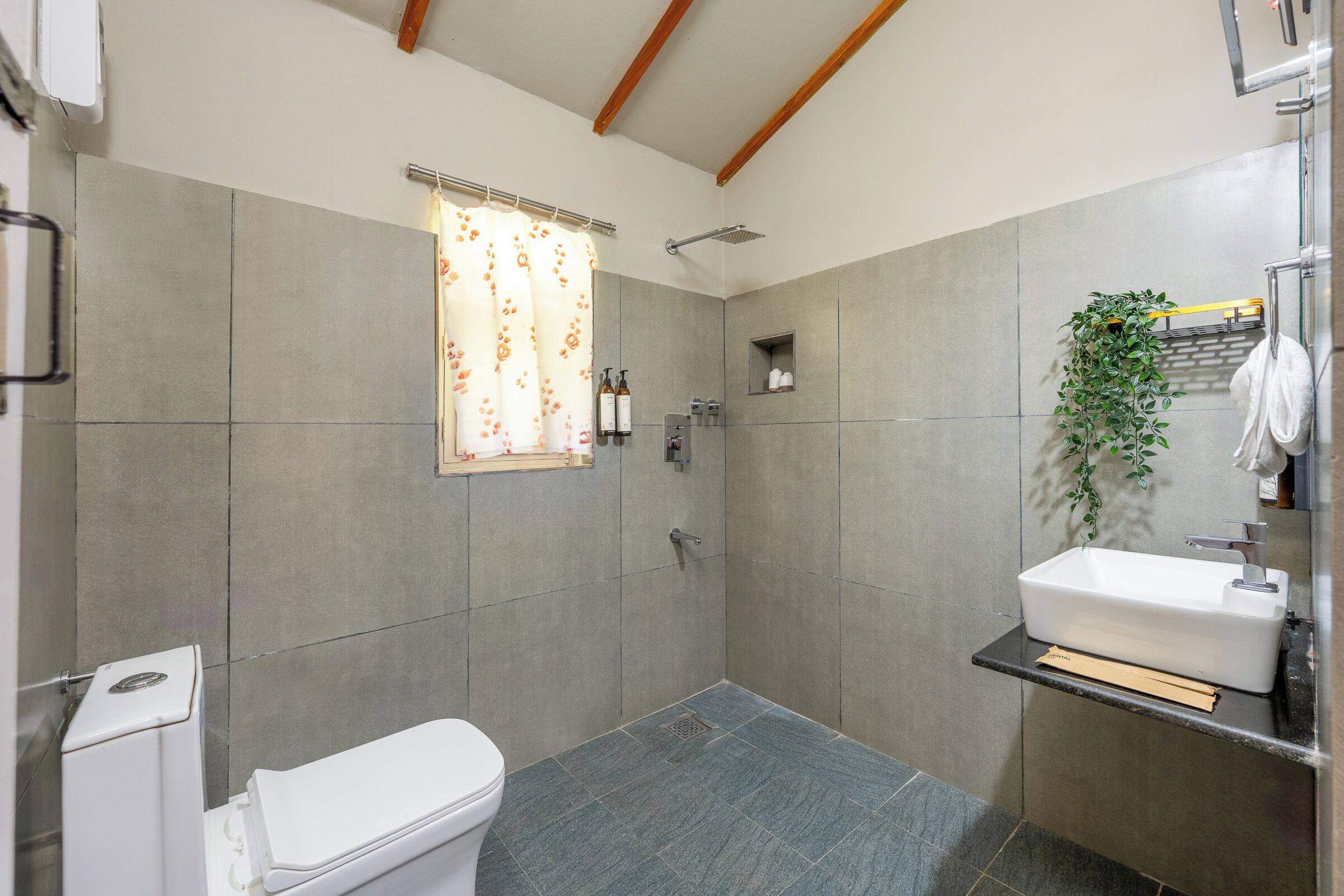 Hair dryer, towels, toilet paper
