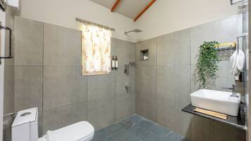 Hair dryer, towels, toilet paper