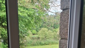 A window view of a grassy area with trees and a stone wall.
