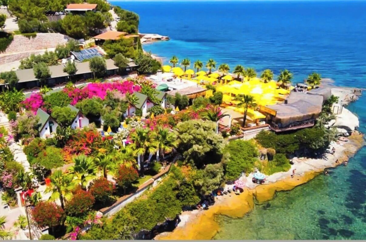 Vista aérea de un hotel frente al mar, con playa, palmeras y aguas azules cristalinas.