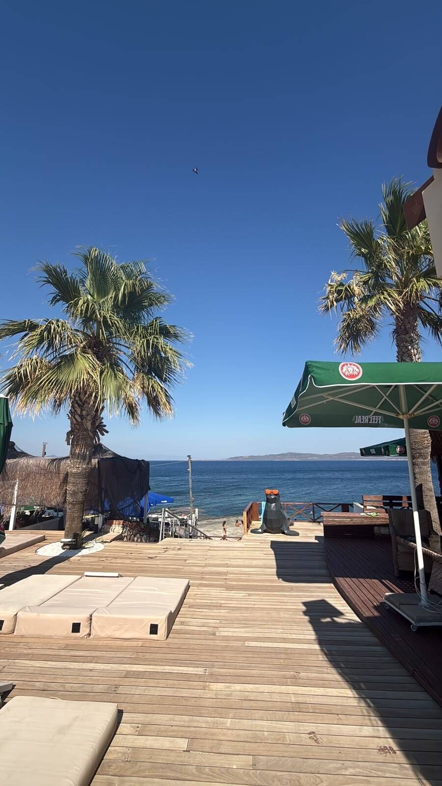 Un pontile in legno con poltrone relax e un tavolo, vista su una spiaggia con palme e il mare.