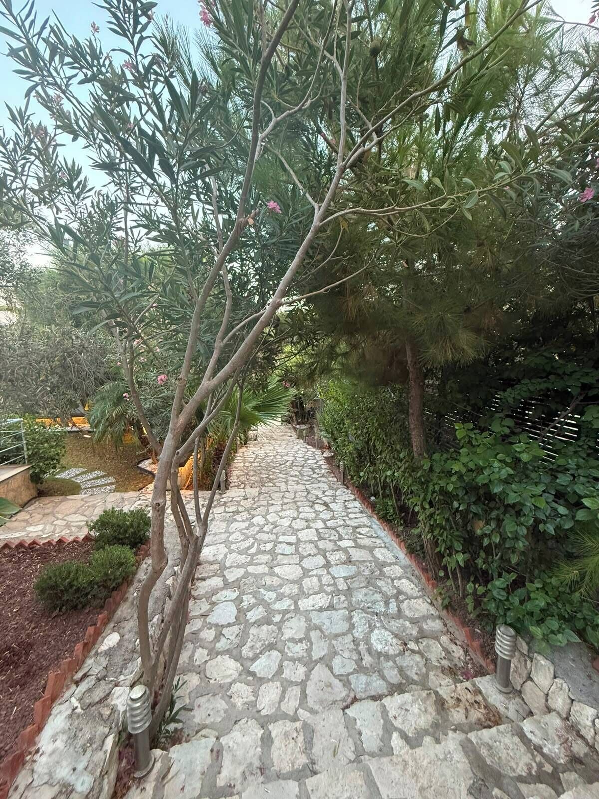 A stone pathway flanked by lush greenery and trees, leading through a garden area.