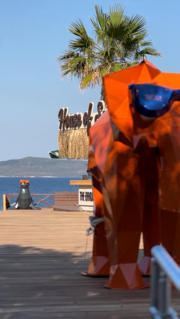 Seal Beach - Mordoğan