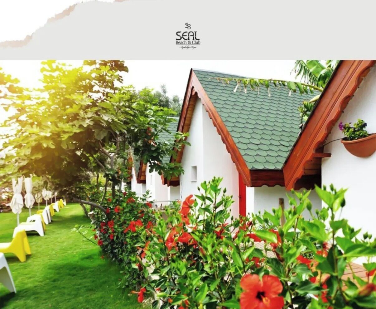Basic Bungalow | Property grounds