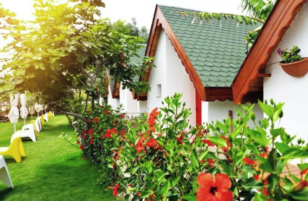 Eenvoudige bungalow | Terrein van de accommodatie