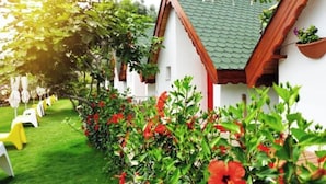 A white building with a green roof, surrounded by a well-maintained garden with red flowers and yellow chairs. - Seal beach (Mordoğan)