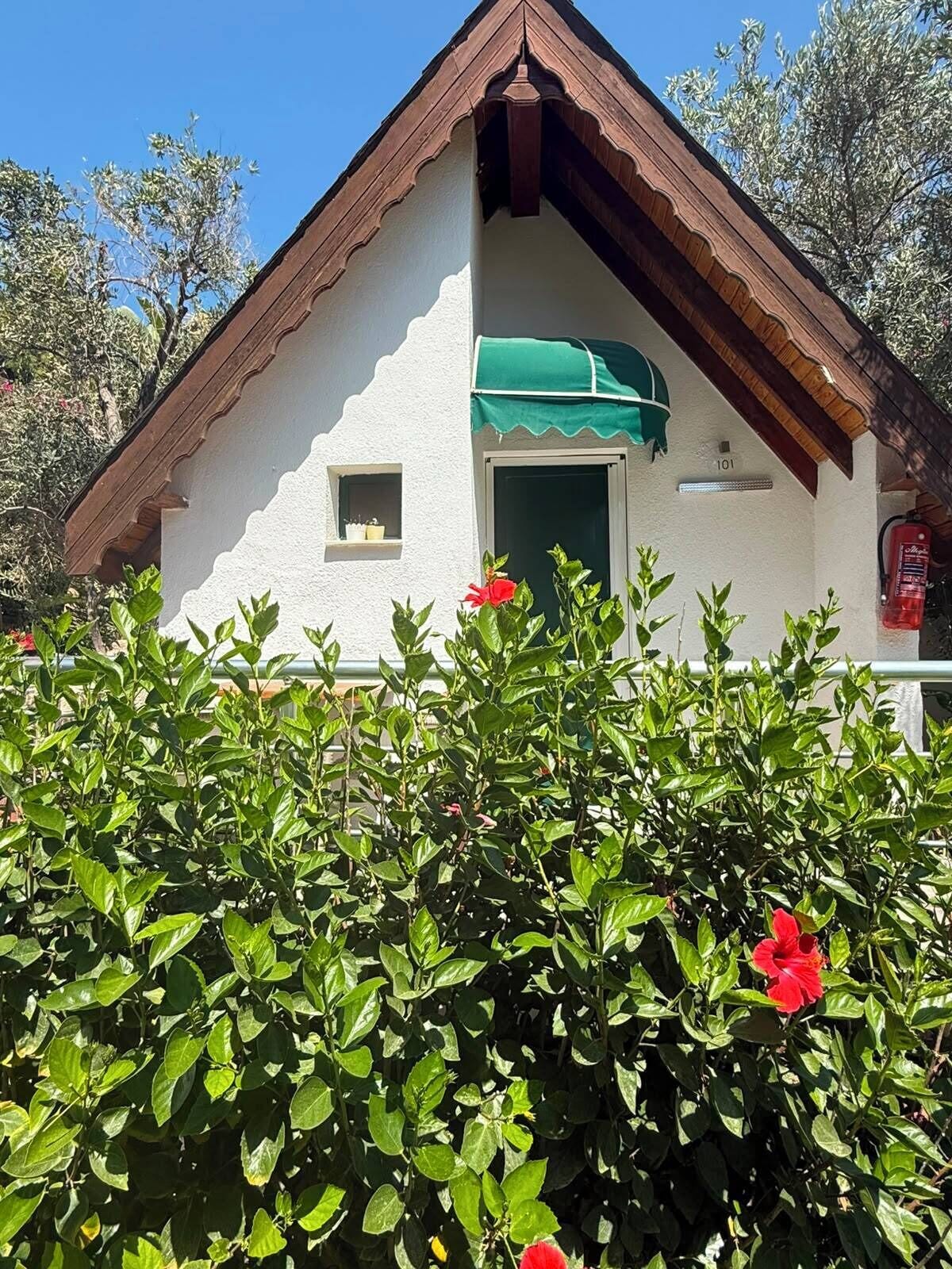 Basic Bungalow