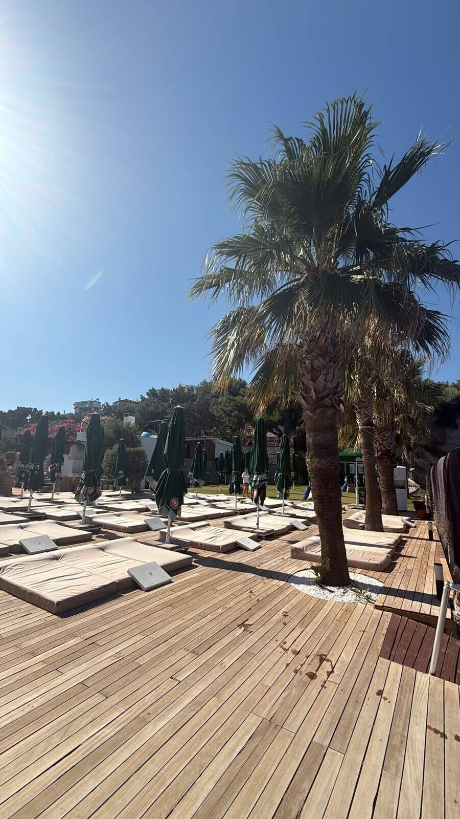 Une terrasse en bois avec des chaises longues et des parasols, des palmiers et un ciel dégagé.