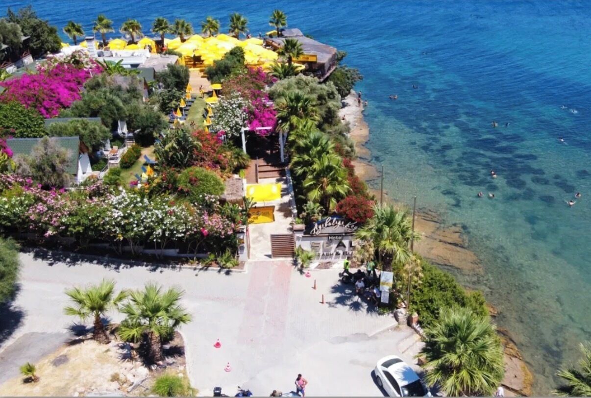 Un hôtel situé sur la côte, avec vue sur la plage, un parking et un jardin agrémenté de plantes tropicales.
