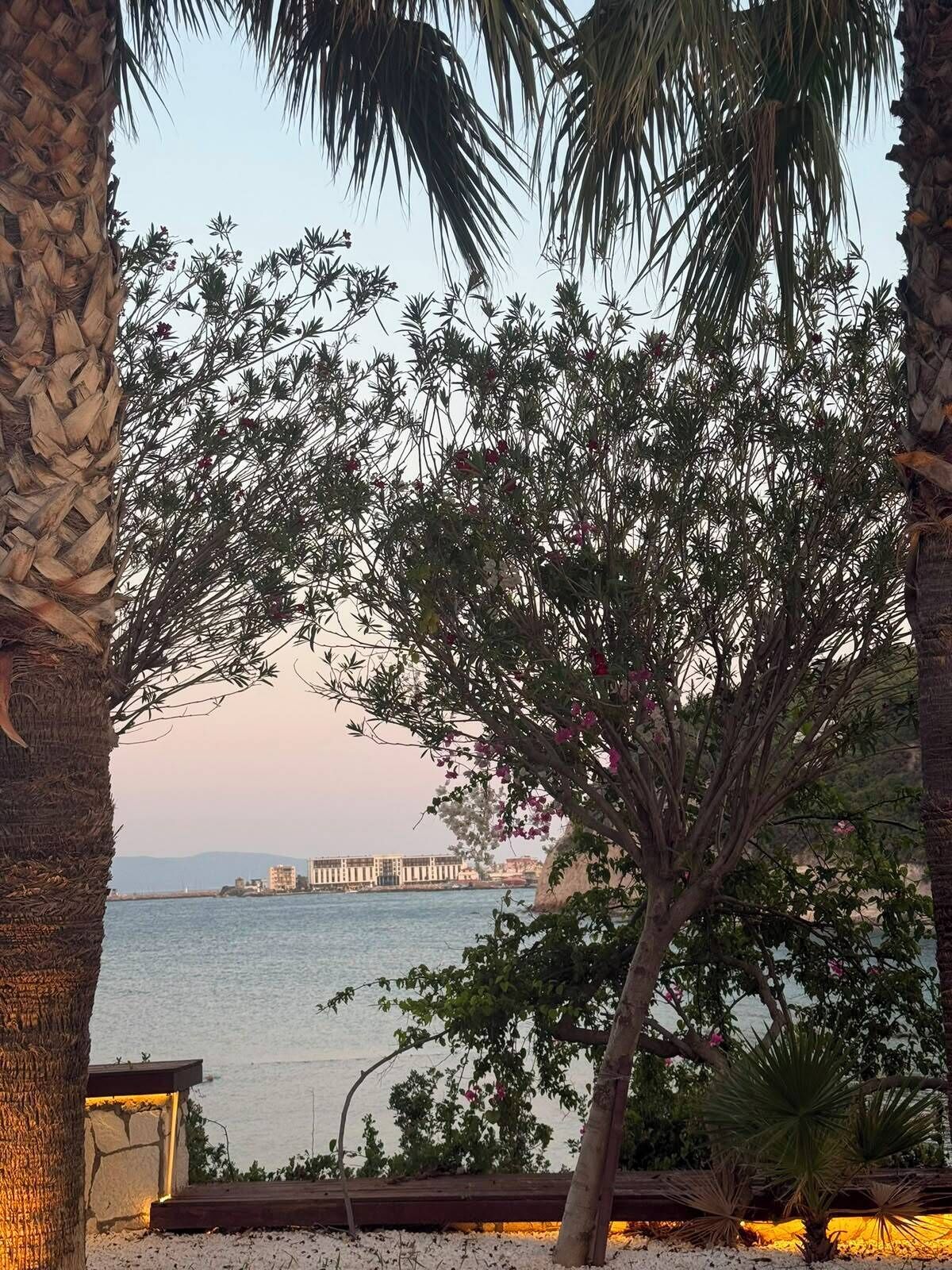 A coastal view with a palm tree and a building across the water.