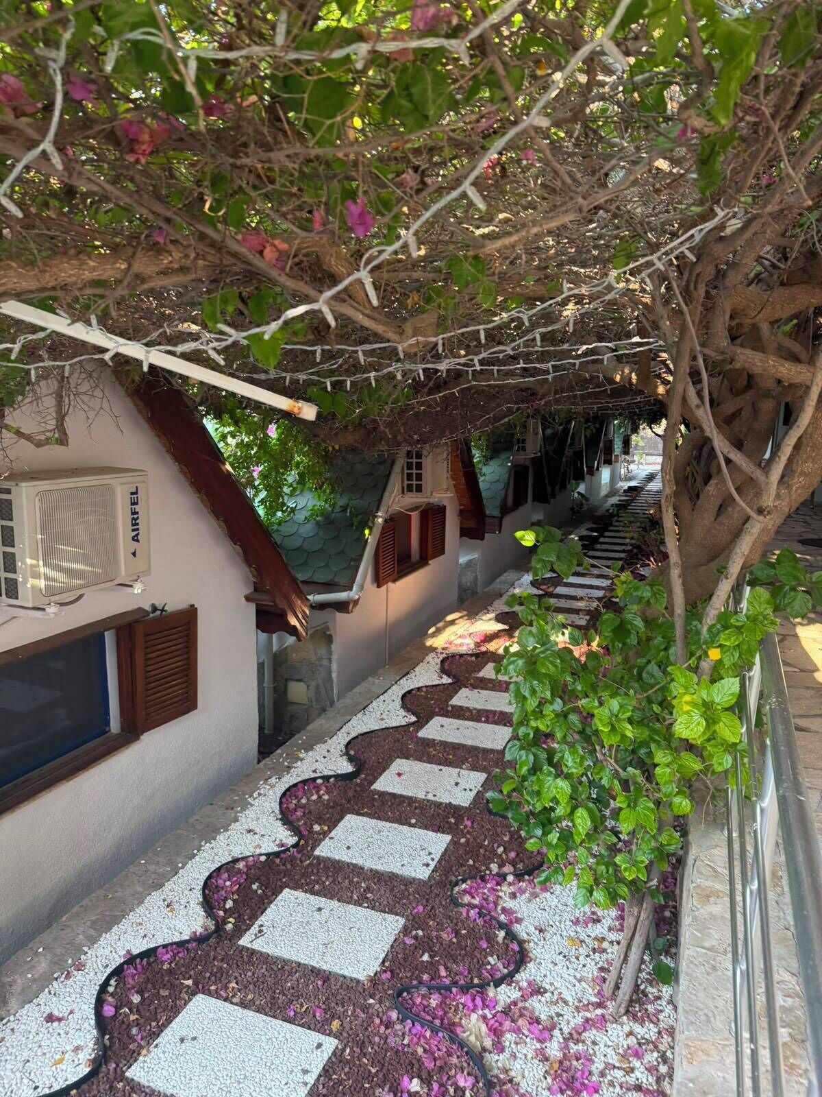A narrow pathway with a zigzag pattern, surrounded by greenery and a building with a white exterior and a window with a shutter.