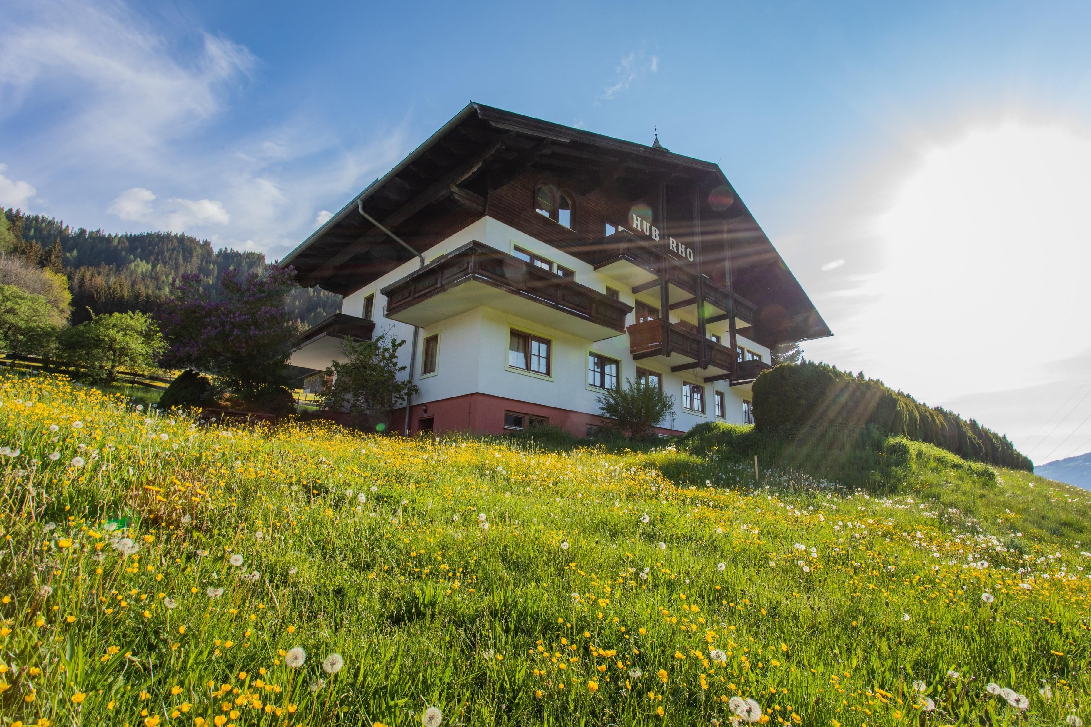 Hauptansicht Gebäude im Sommer
