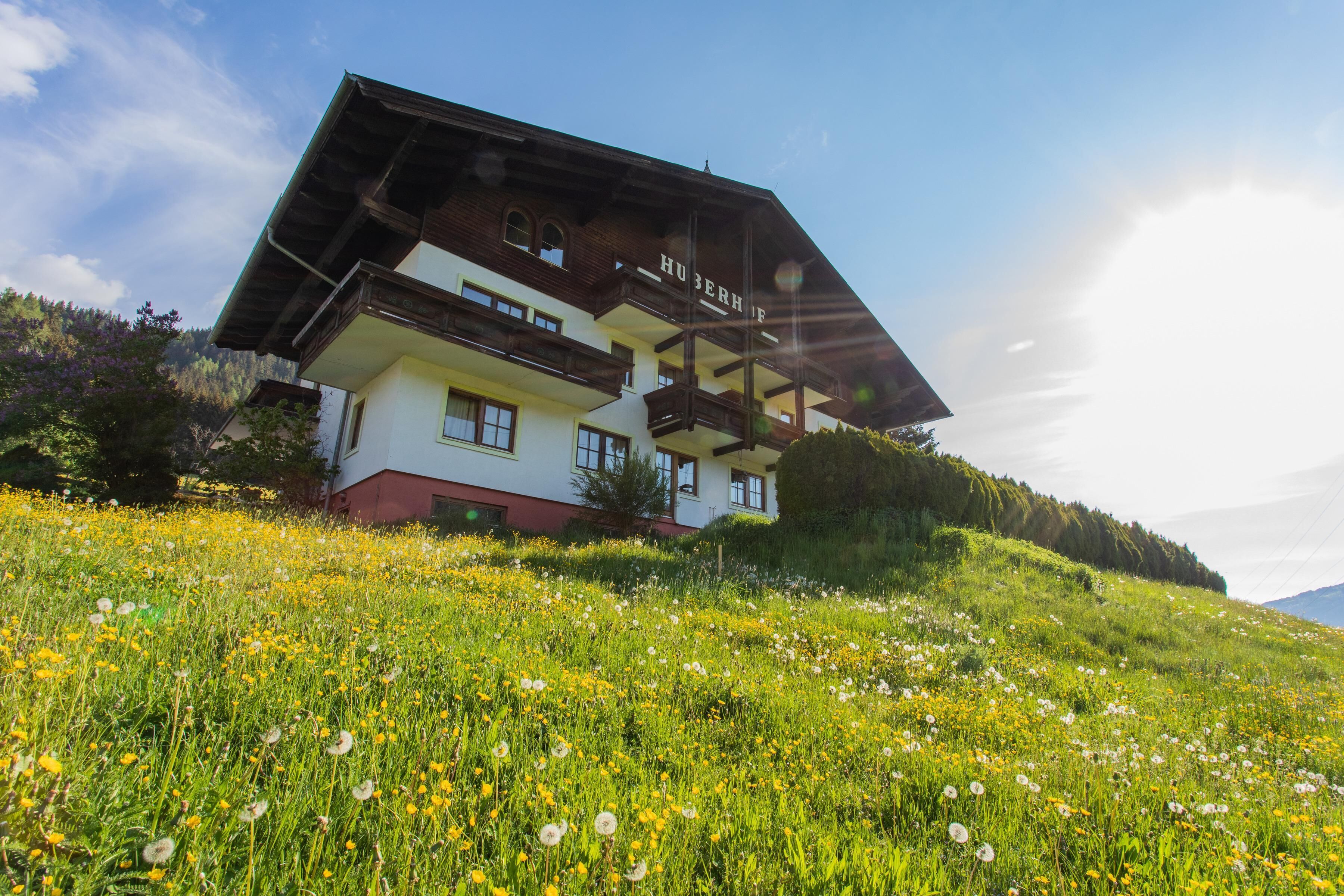 Main view of the building in summer