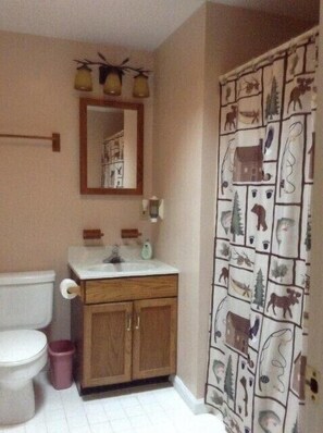 Bathroom - Heated Pool + Game Lounge | Near Gore Mountain + Hudson River | Eagles Nest (North Creek)