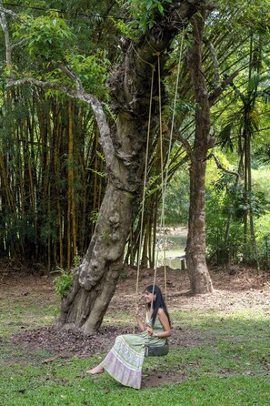 A woman sitting on a swing attached to a tree in a forested area.
