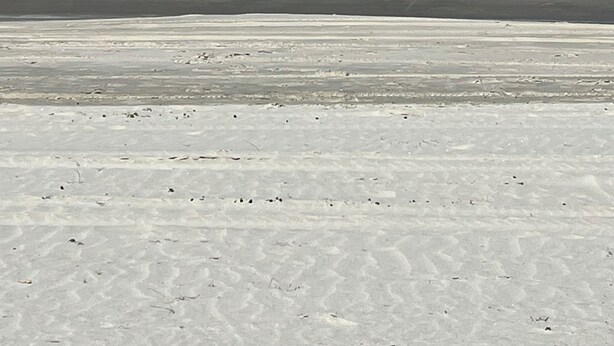 En strand med klart himmel og roligt hav.