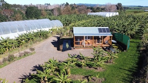 A greenhouse with a wooden structure, solar panels, and banana plants.