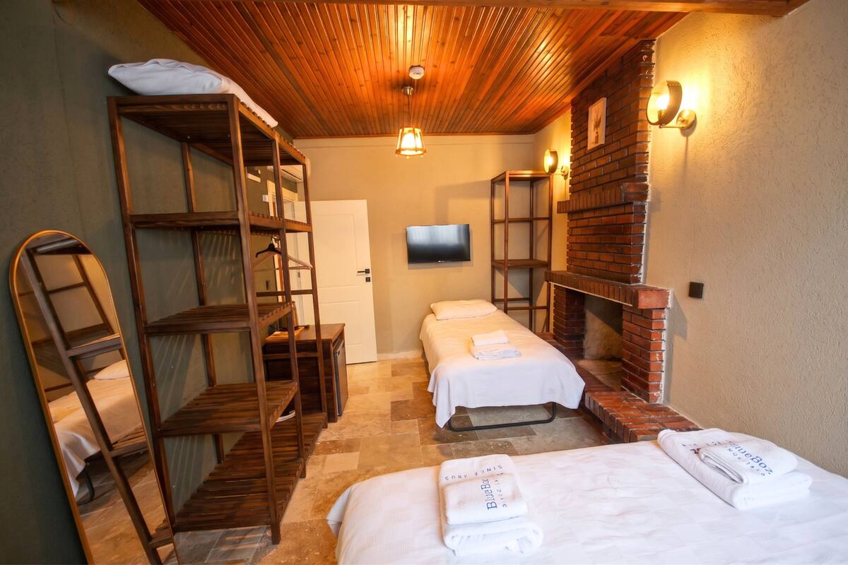 Una habitación con literas, televisor, chimenea de ladrillo y una puerta.