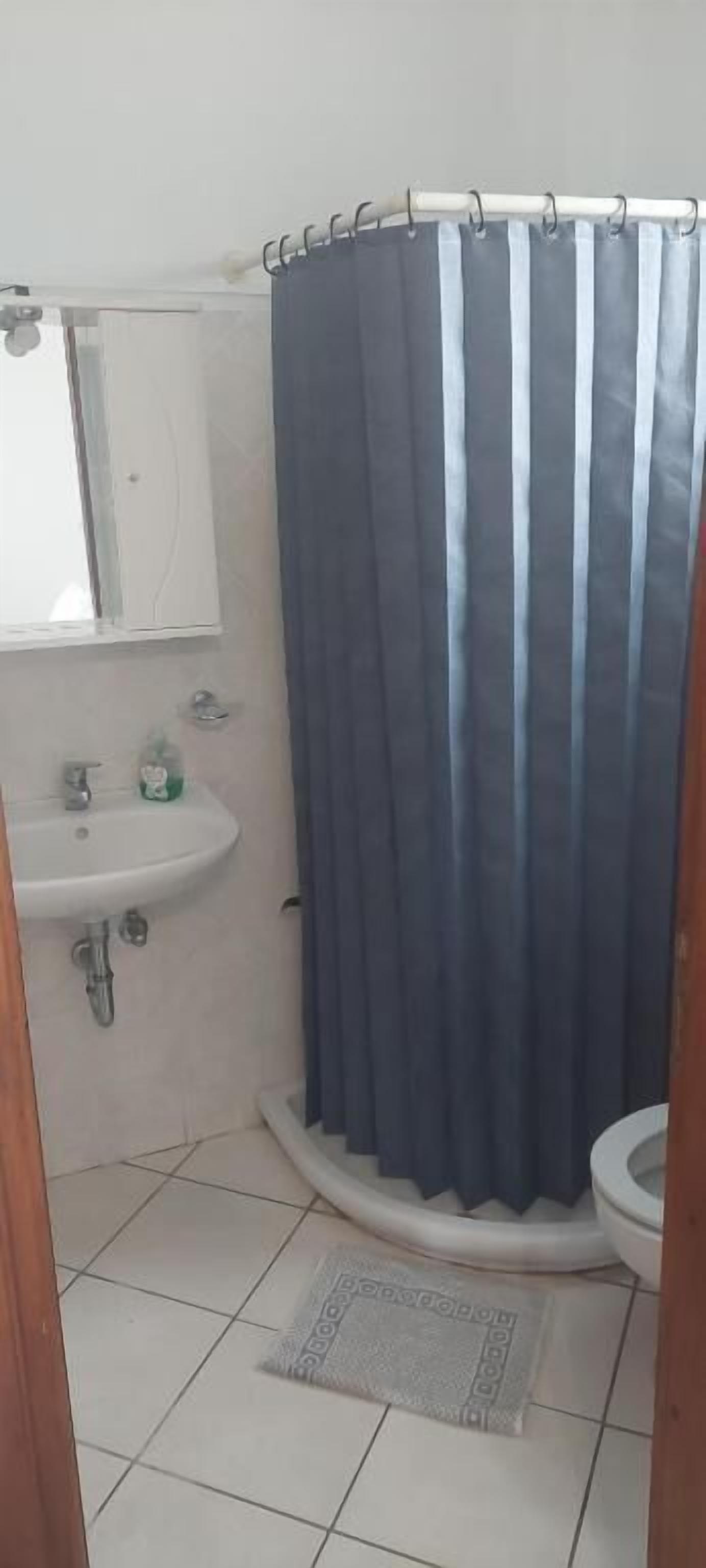 Un baño con cortina de ducha, lavamanos, espejo e inodoro.