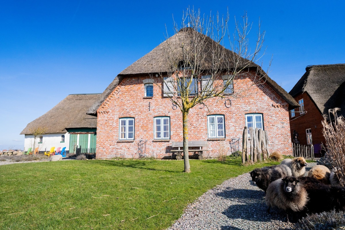 Bild für Gastgeberprofil