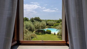 Vista desde una ventana: piscina rodeada de follaje.