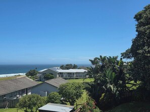 A coastal residential area with houses, a view of the ocean, and lush greenery.