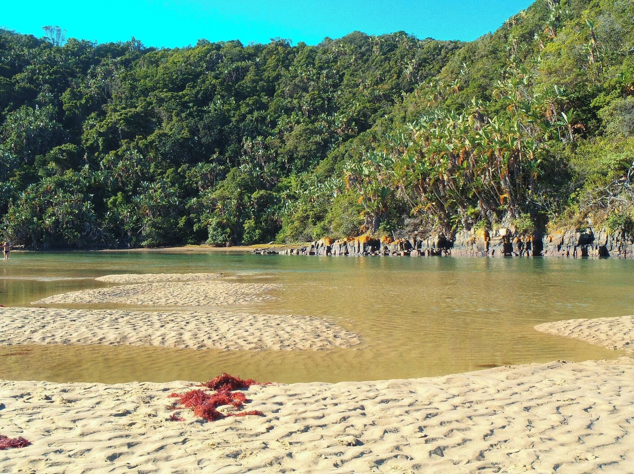 Une plage à l’eau claire, avec des zones de sable et une végétation luxuriante en arrière-plan.