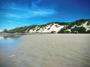 Une plage avec un rivage sablonneux, une étendue d’eau calme et une colline boisée en arrière-plan.