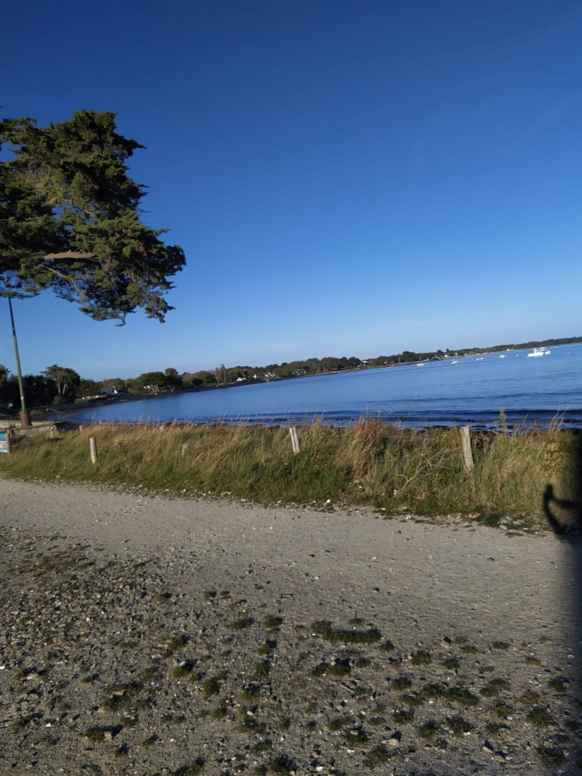En grusvej fører hen til et vandareal med både, træer og en klar himmel.