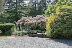 Un jardin avec un chemin de gravier, un mur de pierre et divers arbustes et arbres.