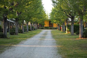 A tree-lined path leading to a building with a yellow facade. - Tuscan Mobile home with Covered Porch (Capannole)
